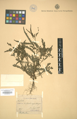 LE 01005543