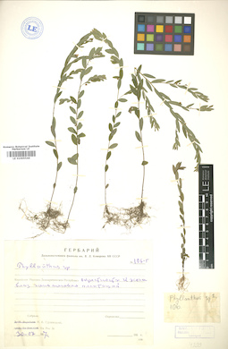 LE 01005544