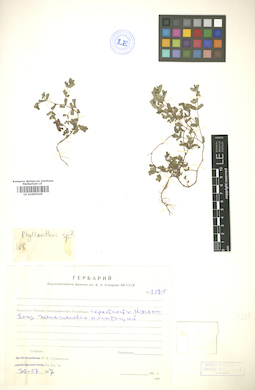 LE 01005545