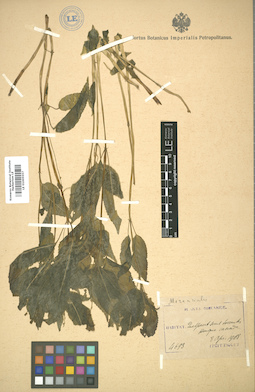 LE 01005557