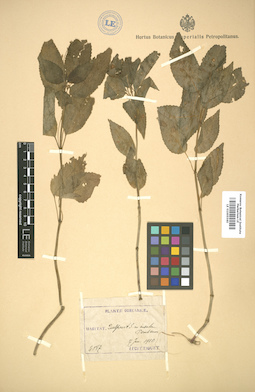 LE 01005560