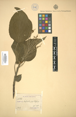 LE 01005565