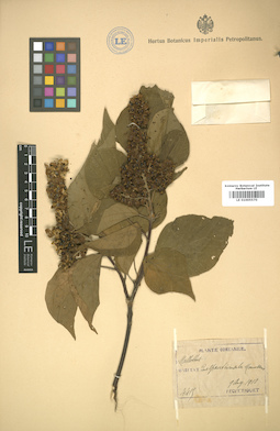 LE 01005570