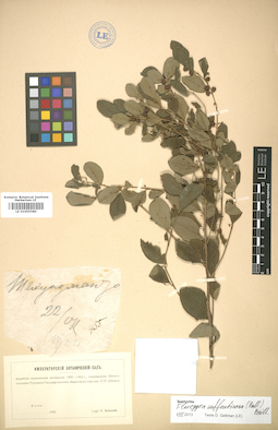 LE 01005580