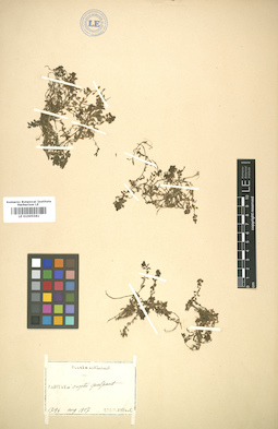 LE 01005581