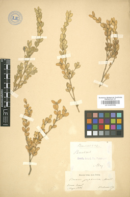LE 01005582