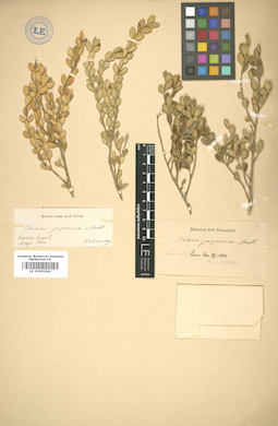 LE 01005583