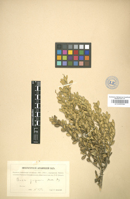 LE 01005584
