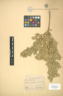 LE 01005585