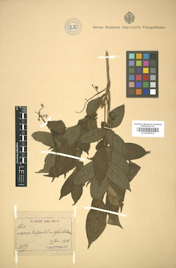 LE 01005614