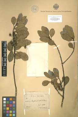 LE 01005627