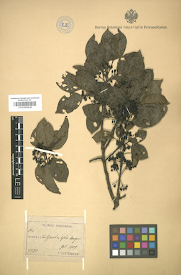 LE 01005628