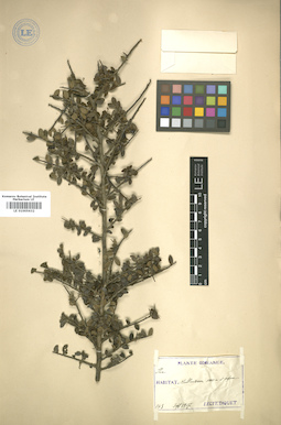 LE 01005632