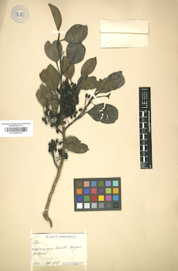 LE 01005637