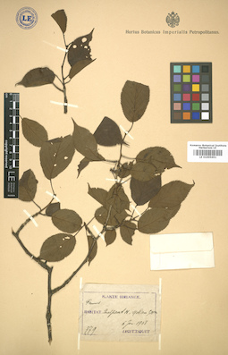 LE 01005651