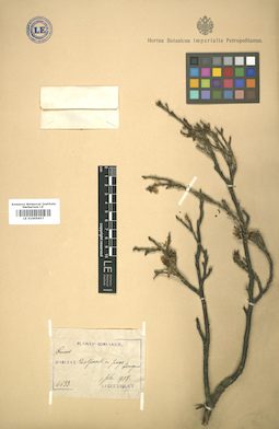 LE 01005657
