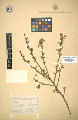 LE 01005659