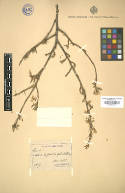 LE 01005663