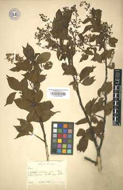 LE 01005669