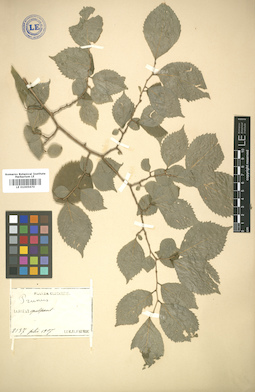 LE 01005670