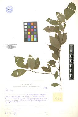 LE 01005672