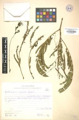 LE 01005674