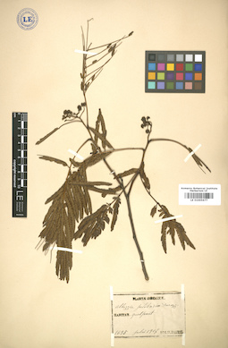 LE 01005677