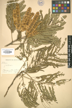 LE 01005678