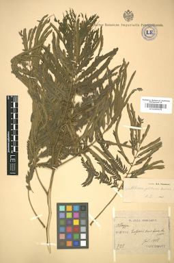 LE 01005679