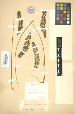 LE 01005680
