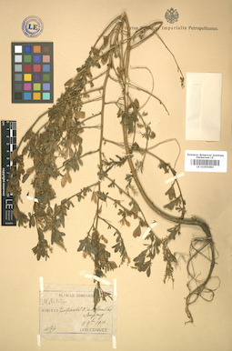 LE 01005683