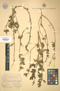 LE 01005684