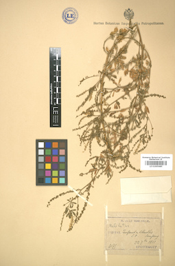 LE 01005685
