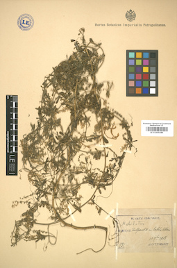 LE 01005686