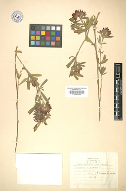 LE 01005689