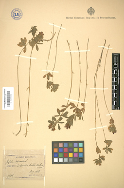 LE 01005690
