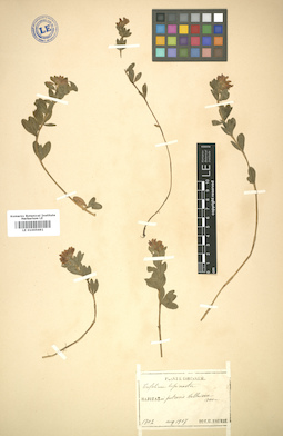 LE 01005691