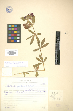LE 01005692