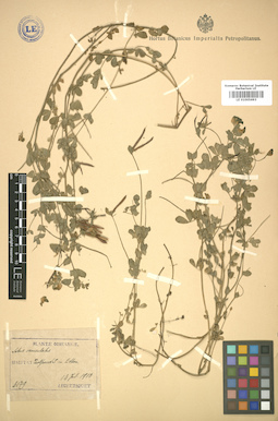 LE 01005693