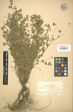 LE 01005694