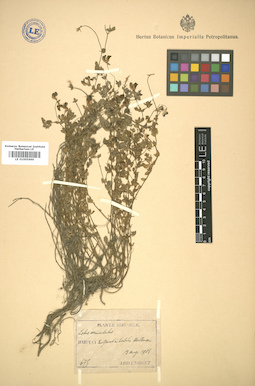 LE 01005696
