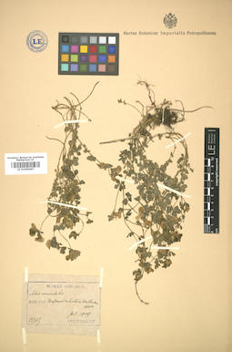 LE 01005697