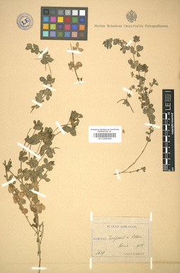 LE 01005698