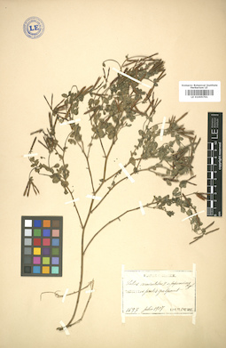 LE 01005701
