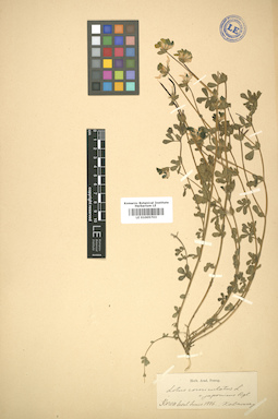 LE 01005703