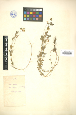LE 01005704
