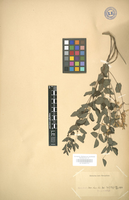 LE 01005713