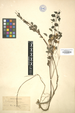 LE 01005721
