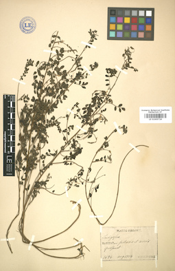 LE 01005726