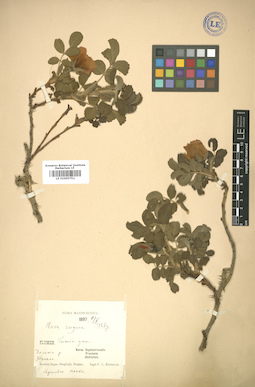 LE 01005752